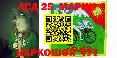 шишки Кинель