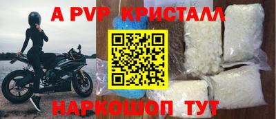 2c-b Кингисепп