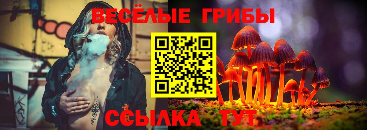Галлюциногенные грибы GOLDEN TEACHER  Вход с VPN  Кудымкар 